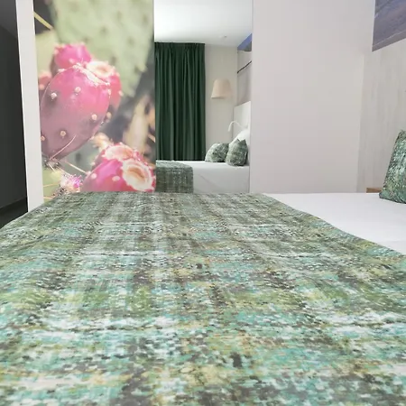 Lemon&soul Cactus Garden