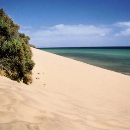 Fergus Cactus Garden Hotel