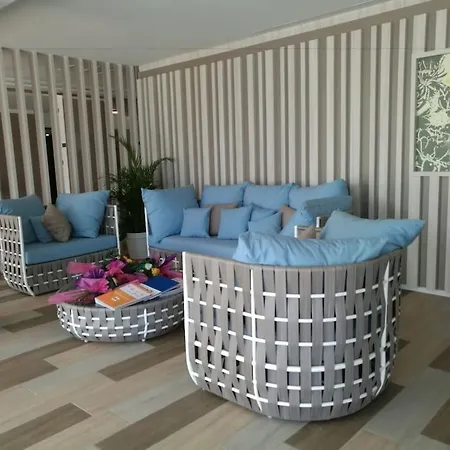 Lemon&soul Cactus Garden