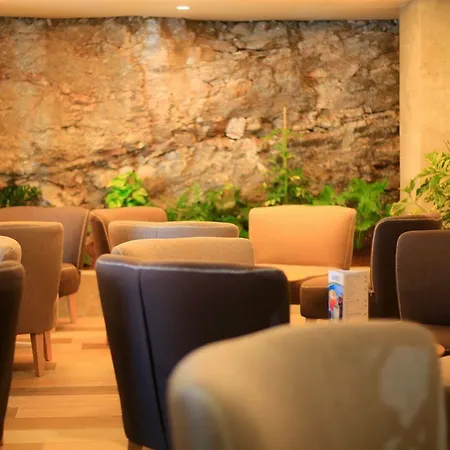 Lemon&soul Cactus Garden