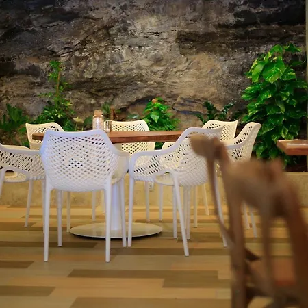 Lemon&soul Cactus Garden