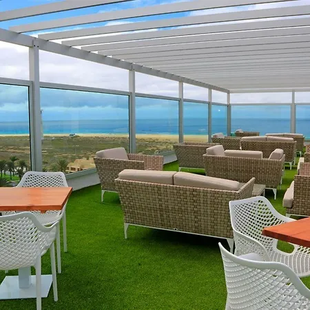 Lemon&soul Cactus Garden