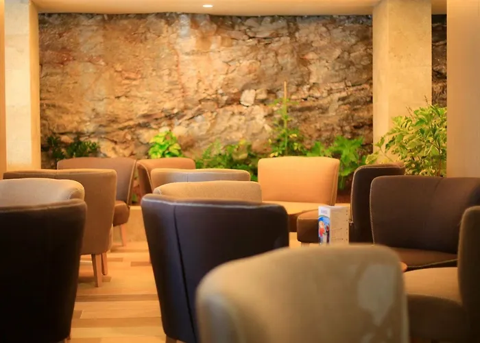 Fergus Cactus Garden