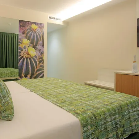 Fergus Cactus Garden