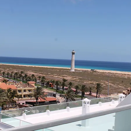 Fergus Cactus Garden 4*