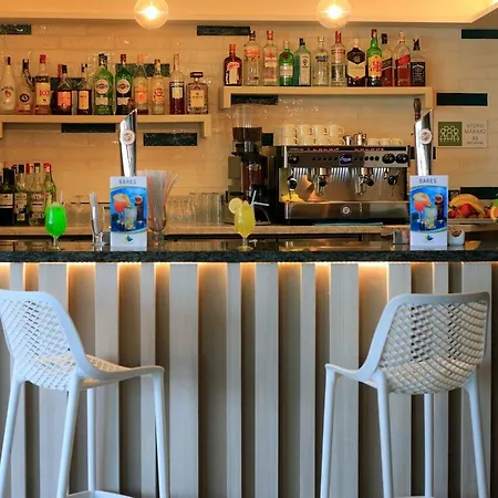 Fergus Cactus Garden