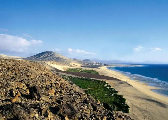 Fergus Cactus Garden 4*