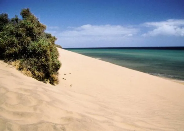 Fergus Cactus Garden Szálloda
