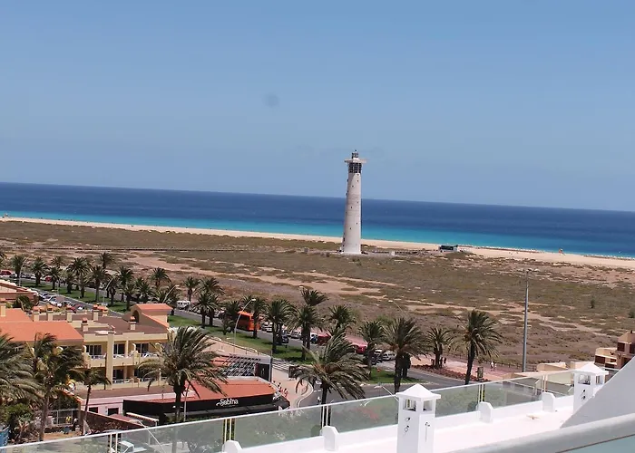 Fergus Cactus Garden 4*