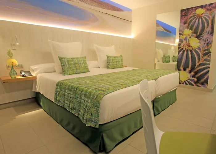 Fergus Cactus Garden 4*