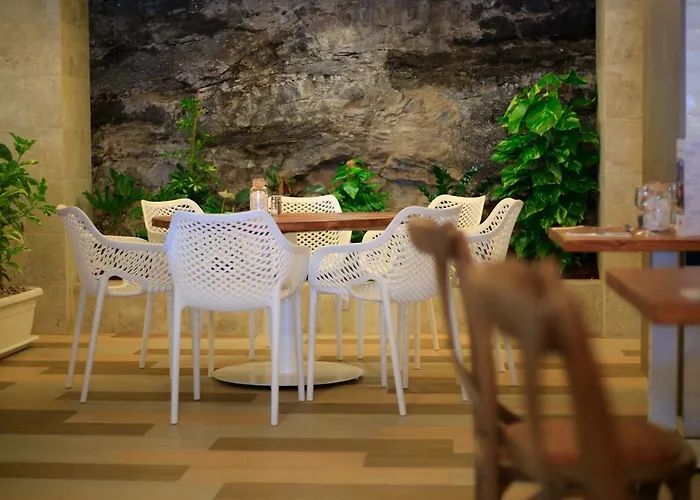 Fergus Cactus Garden